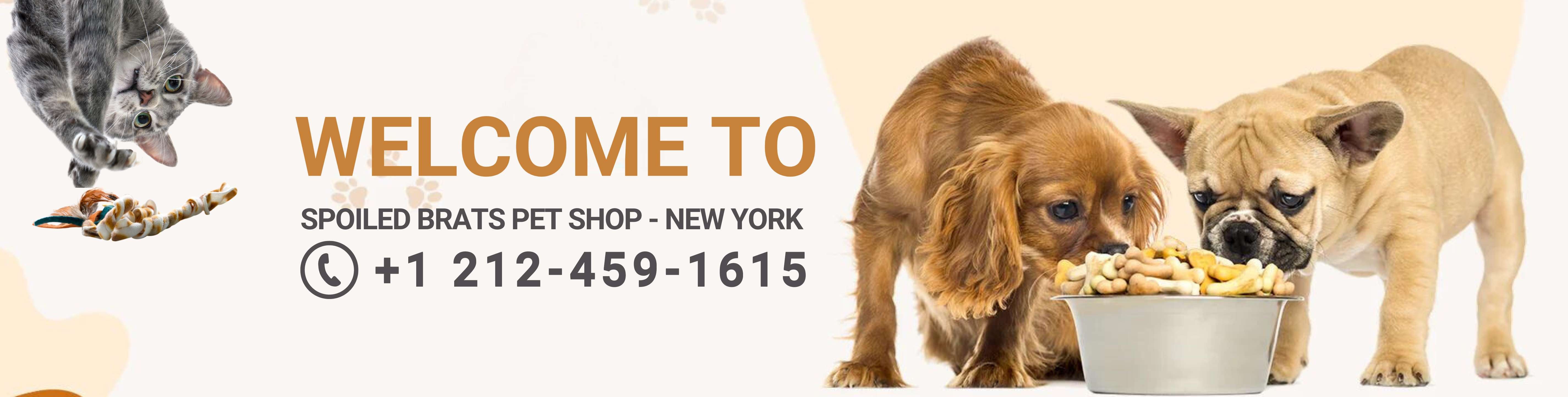 SPOILED BRATS PET SHOP - NEW YORK - Pet Store in New York, Pets Store Near Me