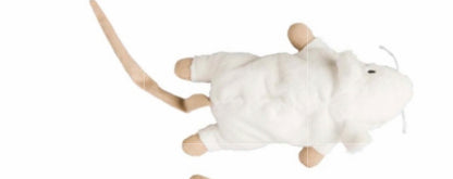Sam the Super Mouse