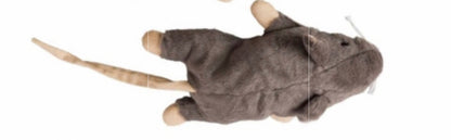 Sam the Super Mouse